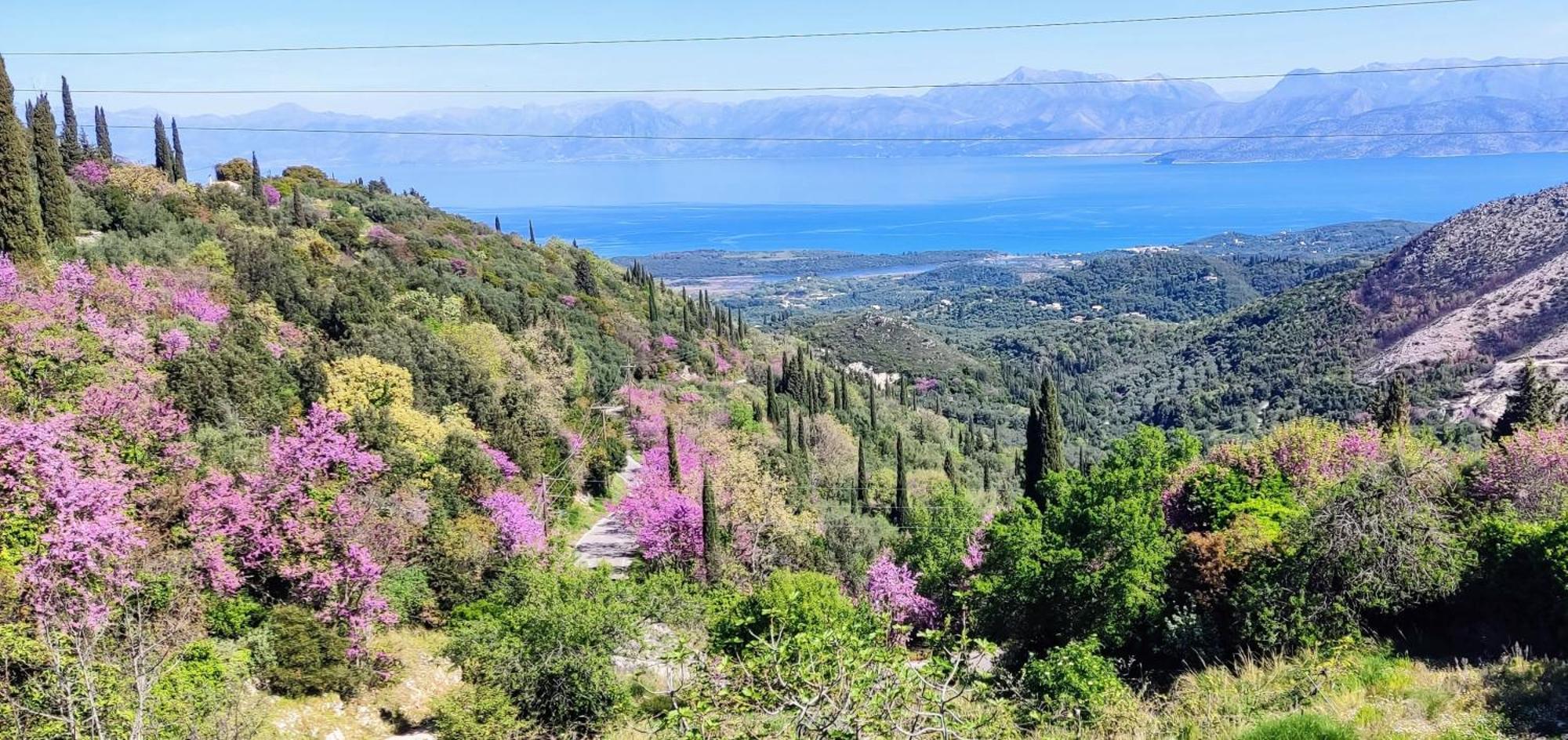 Apartamento Castello Di Lafki Corfu  Exterior foto